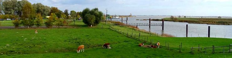 Süderelbe Wischhafen